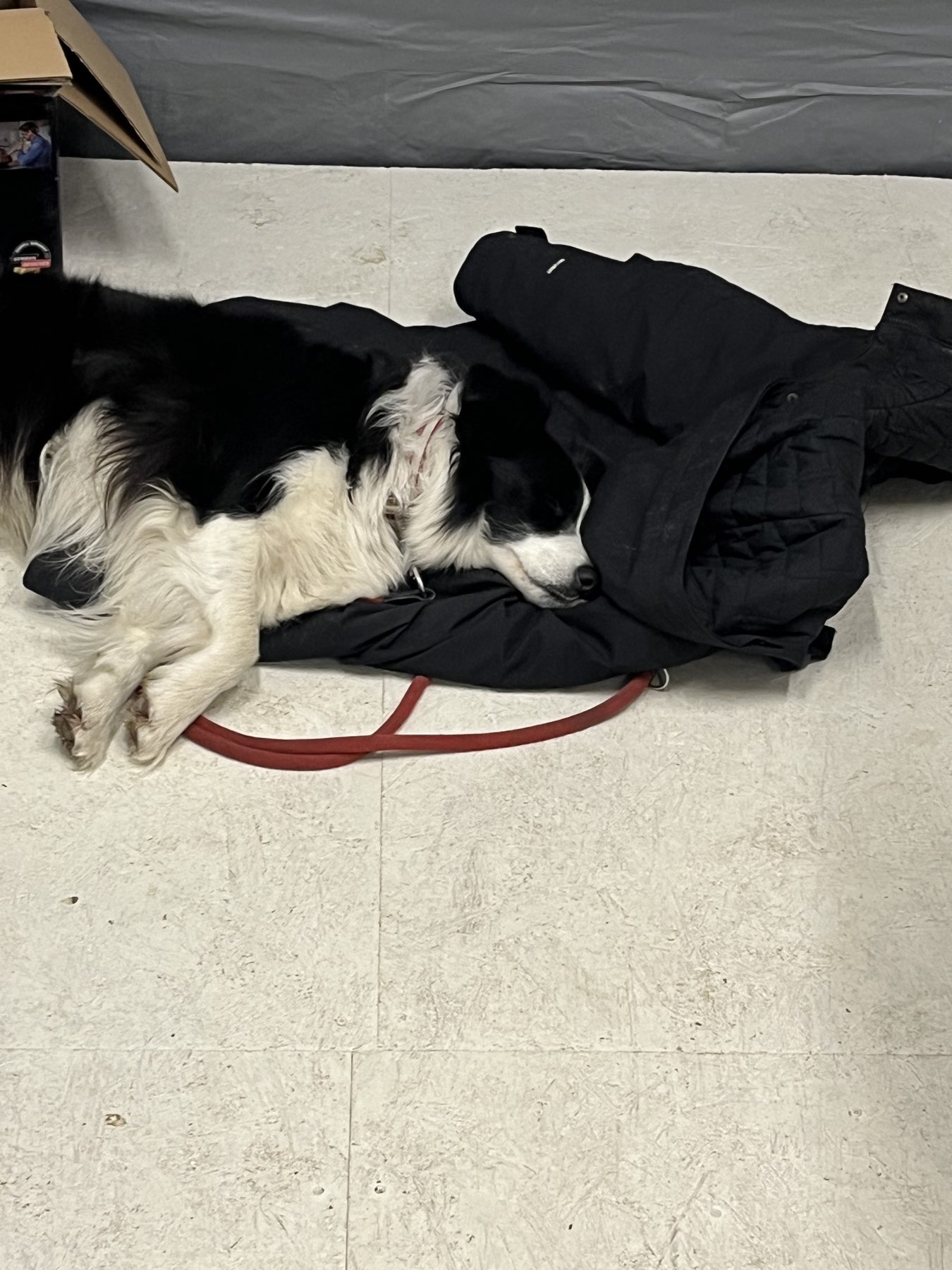 Emma passt wie immer auf (oder auch nicht..)